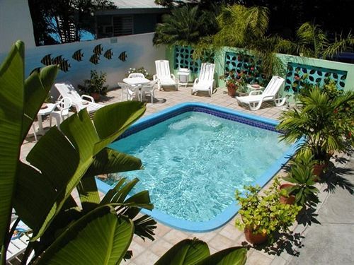 Turquoise Shell Inn Saint-Martin Eksteriør bilde